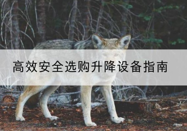 新乡升降货梯厂家推荐-*安全选购升降设备指南
