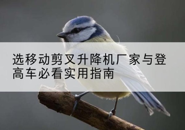 新乡电动升降机厂家-选移动剪叉升降机厂家与登高车必看实用指南
